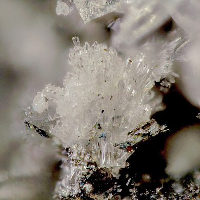 Cannonite