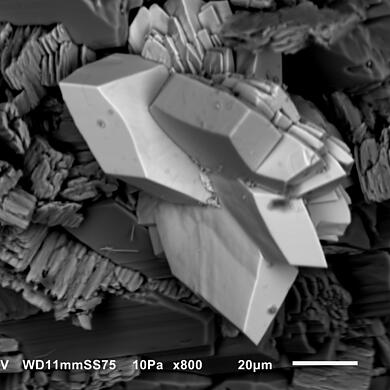 Canutite