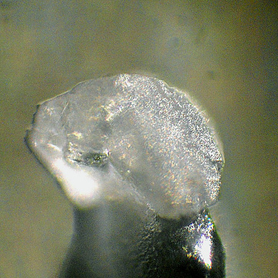 Carbobystrite
