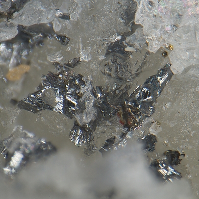 Carducciite