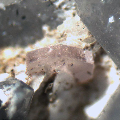 Carlgieseckeite-(Nd)