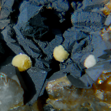 Carlhintzeite