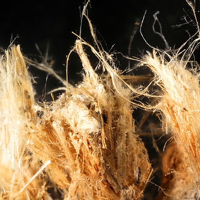 Carlosturanite