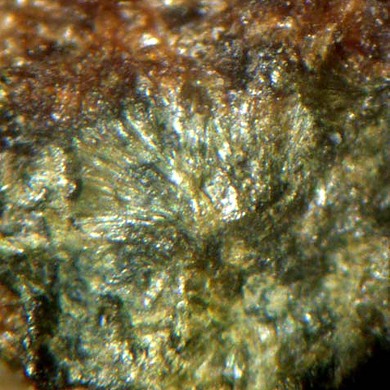 Cavoite