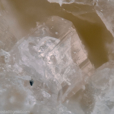 Cayalsite-(Y)