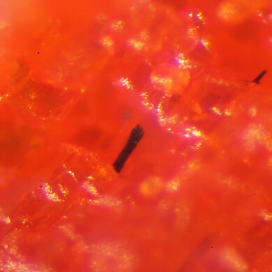 Dalnegroite