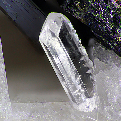 Dalyite