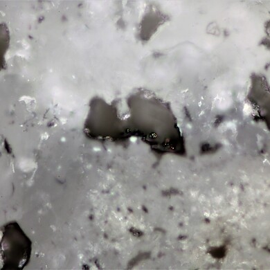 Danielsite
