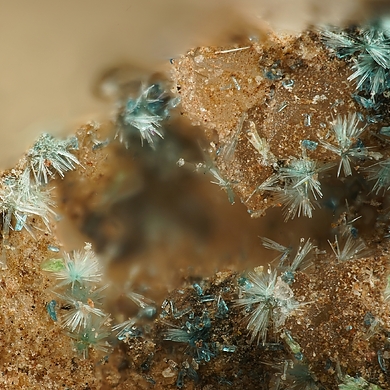 Davidbrownite-(NH4)