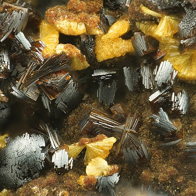 Earlshannonite
