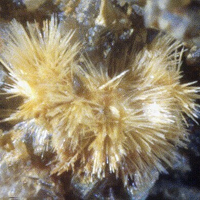 Faheyite