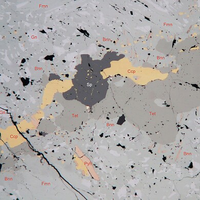 Falkmanite