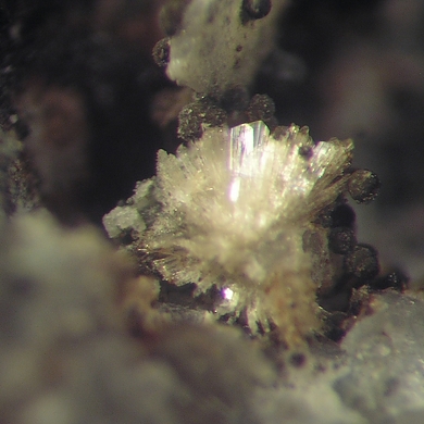 Fanfaniite