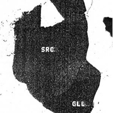 Galileiite