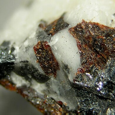 Gamagarite