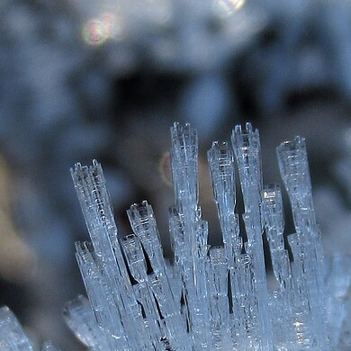 Ice