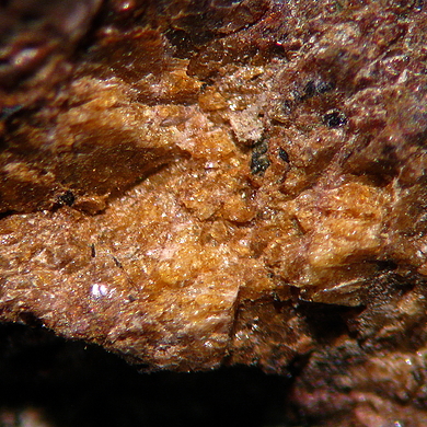 Ikranite