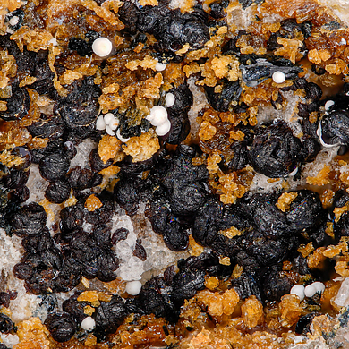 Jahnsite-(CaMnMn)