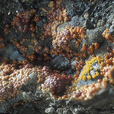 Jarosite