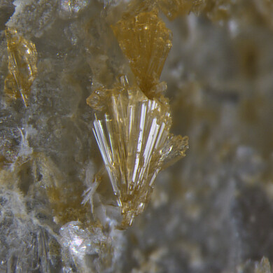 Jasonsmithite