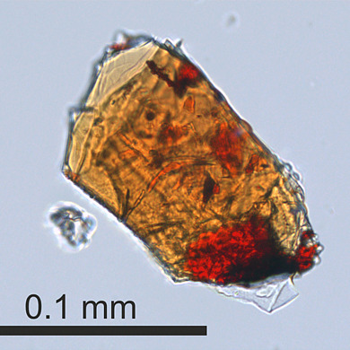 Kahlenbergite