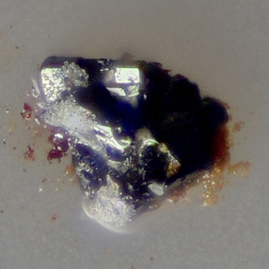 Kainotropite