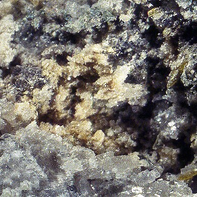Kalicinite