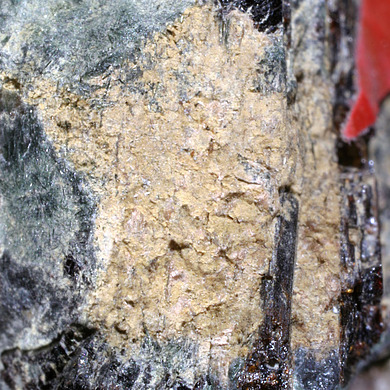 Kalifersite