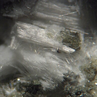 Kaliophilite