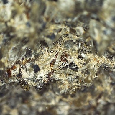 Kalsilite