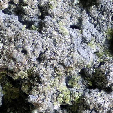 Lafossaite