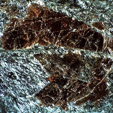 Lamprophyllite