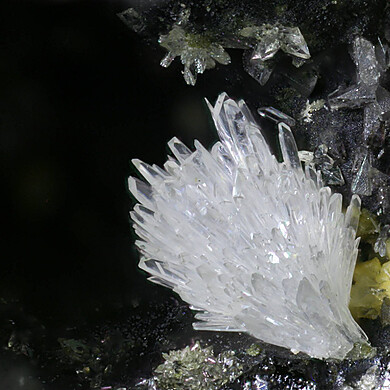 Lanarkite