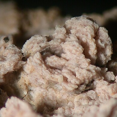 Lanthanite-(Nd)