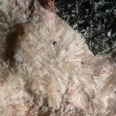 Laplandite-(Ce)