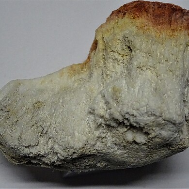 Larderellite