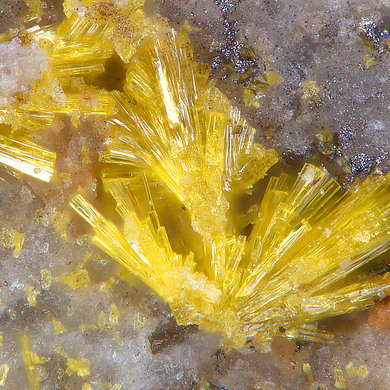 Larisaite