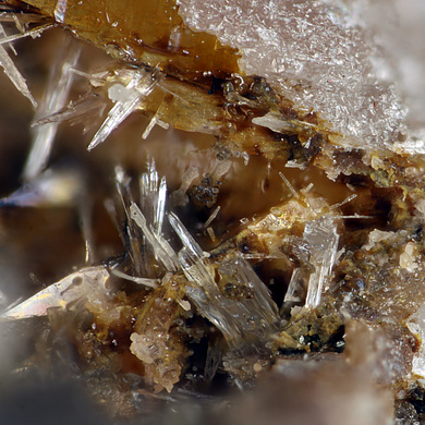 Larsenite