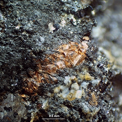 Macfallite