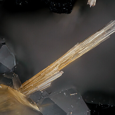 Madeiraite