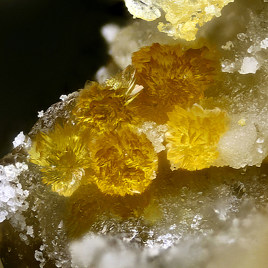 Magnanelliite