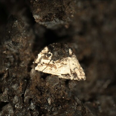 Nabaphite
