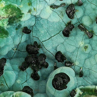 Namibite