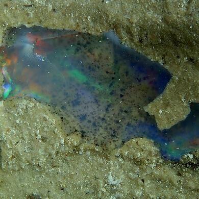 Opal