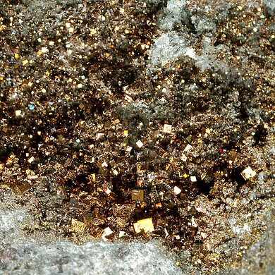 Osbornite