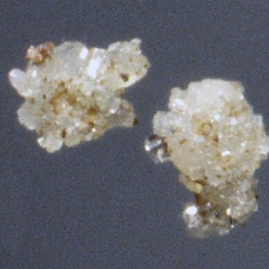 Oxammite