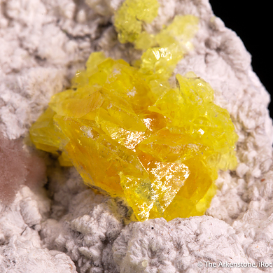 Oyelite