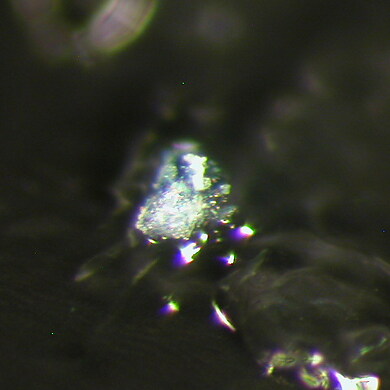 Paceite