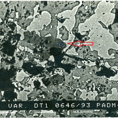 Padmaite