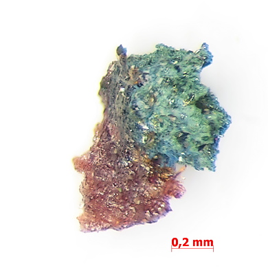 Paganoite